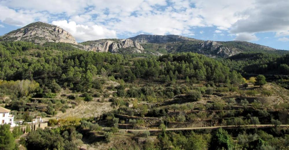 Hostel Casa Malferit Alcoleja Pokoj fotografie